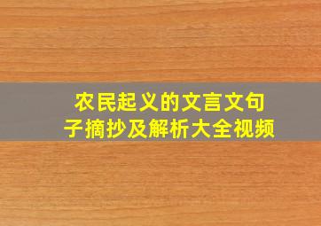 农民起义的文言文句子摘抄及解析大全视频