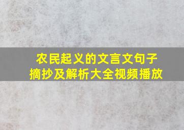 农民起义的文言文句子摘抄及解析大全视频播放