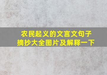 农民起义的文言文句子摘抄大全图片及解释一下