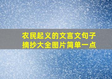 农民起义的文言文句子摘抄大全图片简单一点