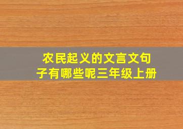 农民起义的文言文句子有哪些呢三年级上册