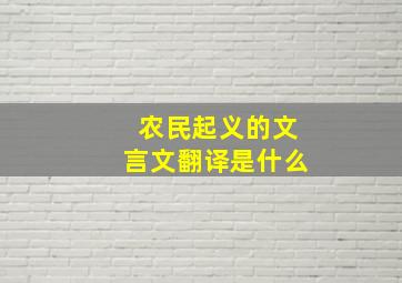 农民起义的文言文翻译是什么