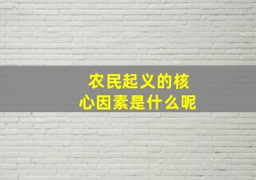 农民起义的核心因素是什么呢