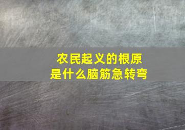 农民起义的根原是什么脑筋急转弯