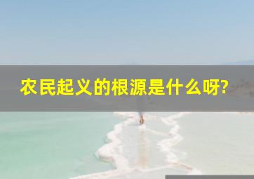 农民起义的根源是什么呀?