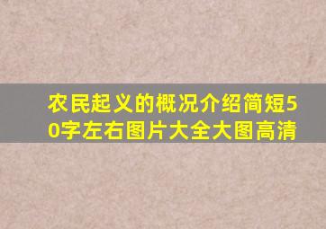 农民起义的概况介绍简短50字左右图片大全大图高清