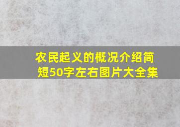 农民起义的概况介绍简短50字左右图片大全集