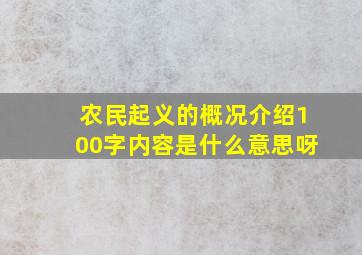 农民起义的概况介绍100字内容是什么意思呀