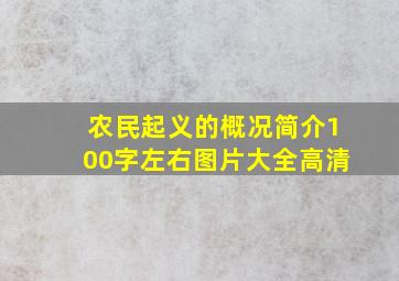 农民起义的概况简介100字左右图片大全高清