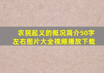 农民起义的概况简介50字左右图片大全视频播放下载