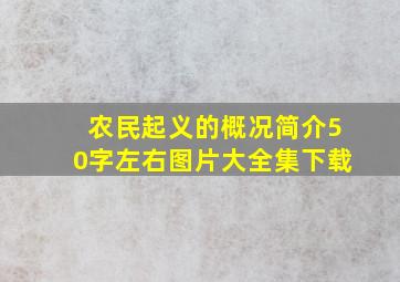 农民起义的概况简介50字左右图片大全集下载