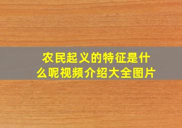 农民起义的特征是什么呢视频介绍大全图片