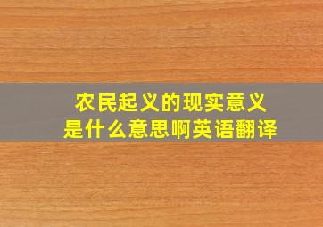 农民起义的现实意义是什么意思啊英语翻译