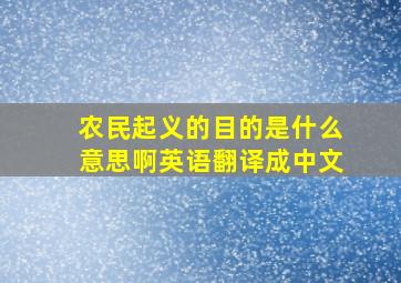 农民起义的目的是什么意思啊英语翻译成中文