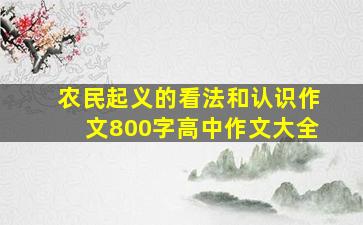 农民起义的看法和认识作文800字高中作文大全