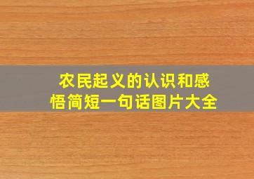 农民起义的认识和感悟简短一句话图片大全