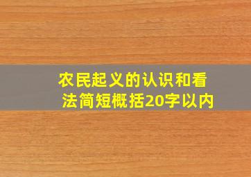 农民起义的认识和看法简短概括20字以内