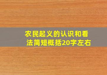 农民起义的认识和看法简短概括20字左右