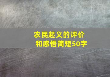 农民起义的评价和感悟简短50字