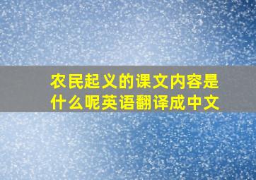 农民起义的课文内容是什么呢英语翻译成中文