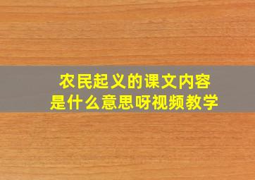 农民起义的课文内容是什么意思呀视频教学