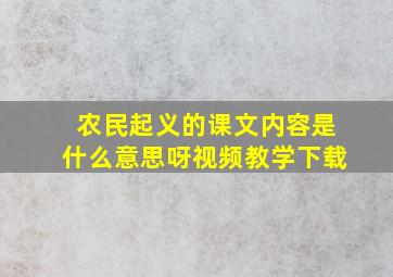 农民起义的课文内容是什么意思呀视频教学下载