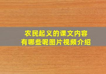 农民起义的课文内容有哪些呢图片视频介绍