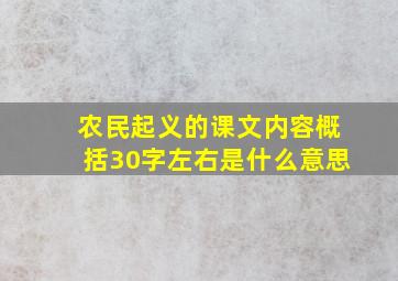 农民起义的课文内容概括30字左右是什么意思