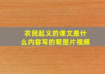 农民起义的课文是什么内容写的呢图片视频