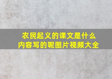 农民起义的课文是什么内容写的呢图片视频大全