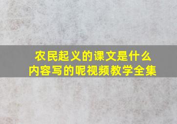 农民起义的课文是什么内容写的呢视频教学全集