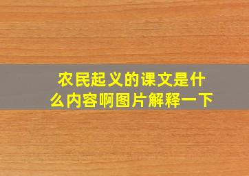 农民起义的课文是什么内容啊图片解释一下