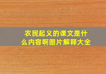 农民起义的课文是什么内容啊图片解释大全