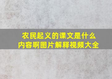 农民起义的课文是什么内容啊图片解释视频大全