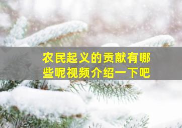 农民起义的贡献有哪些呢视频介绍一下吧