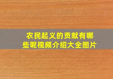 农民起义的贡献有哪些呢视频介绍大全图片