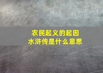 农民起义的起因水浒传是什么意思