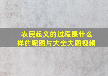 农民起义的过程是什么样的呢图片大全大图视频