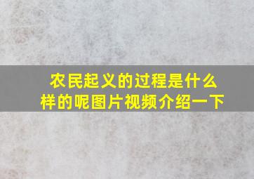 农民起义的过程是什么样的呢图片视频介绍一下