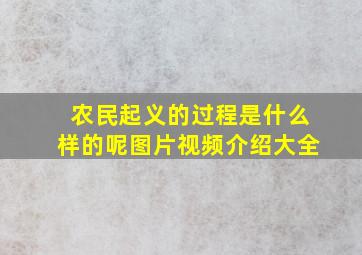 农民起义的过程是什么样的呢图片视频介绍大全