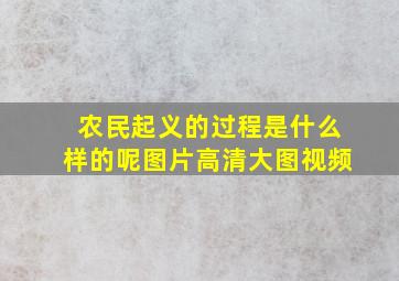 农民起义的过程是什么样的呢图片高清大图视频