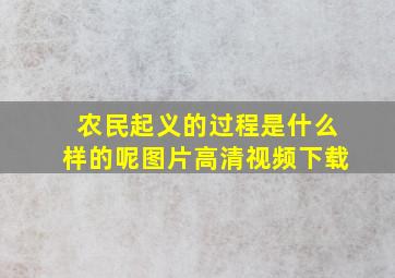 农民起义的过程是什么样的呢图片高清视频下载