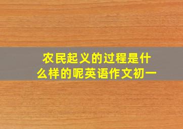 农民起义的过程是什么样的呢英语作文初一