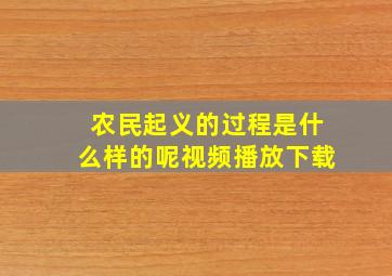 农民起义的过程是什么样的呢视频播放下载