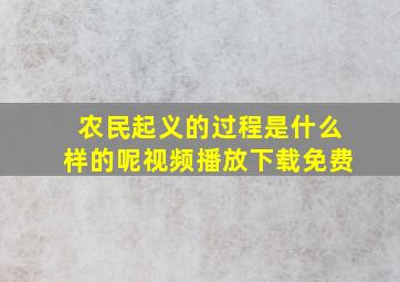 农民起义的过程是什么样的呢视频播放下载免费