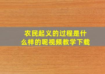 农民起义的过程是什么样的呢视频教学下载