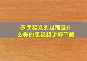 农民起义的过程是什么样的呢视频讲解下载