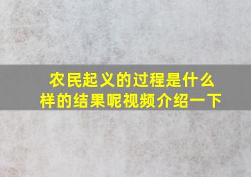 农民起义的过程是什么样的结果呢视频介绍一下