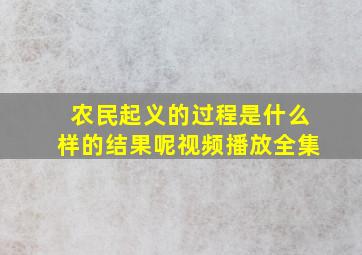 农民起义的过程是什么样的结果呢视频播放全集