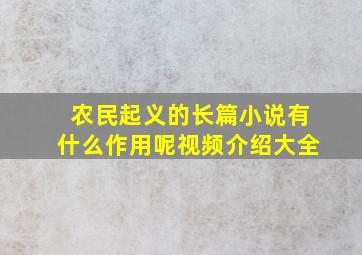 农民起义的长篇小说有什么作用呢视频介绍大全